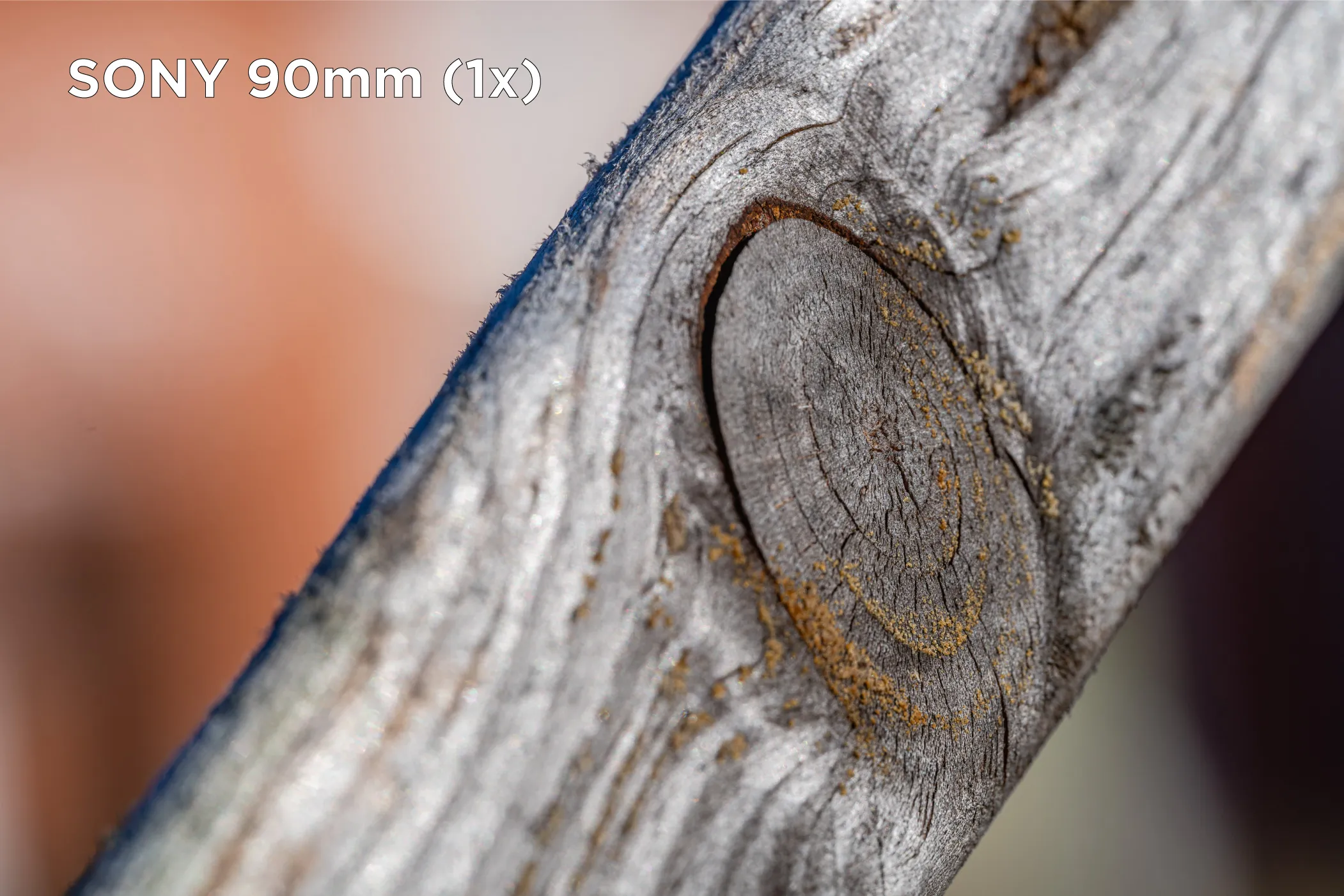 Sony-90mm-1x