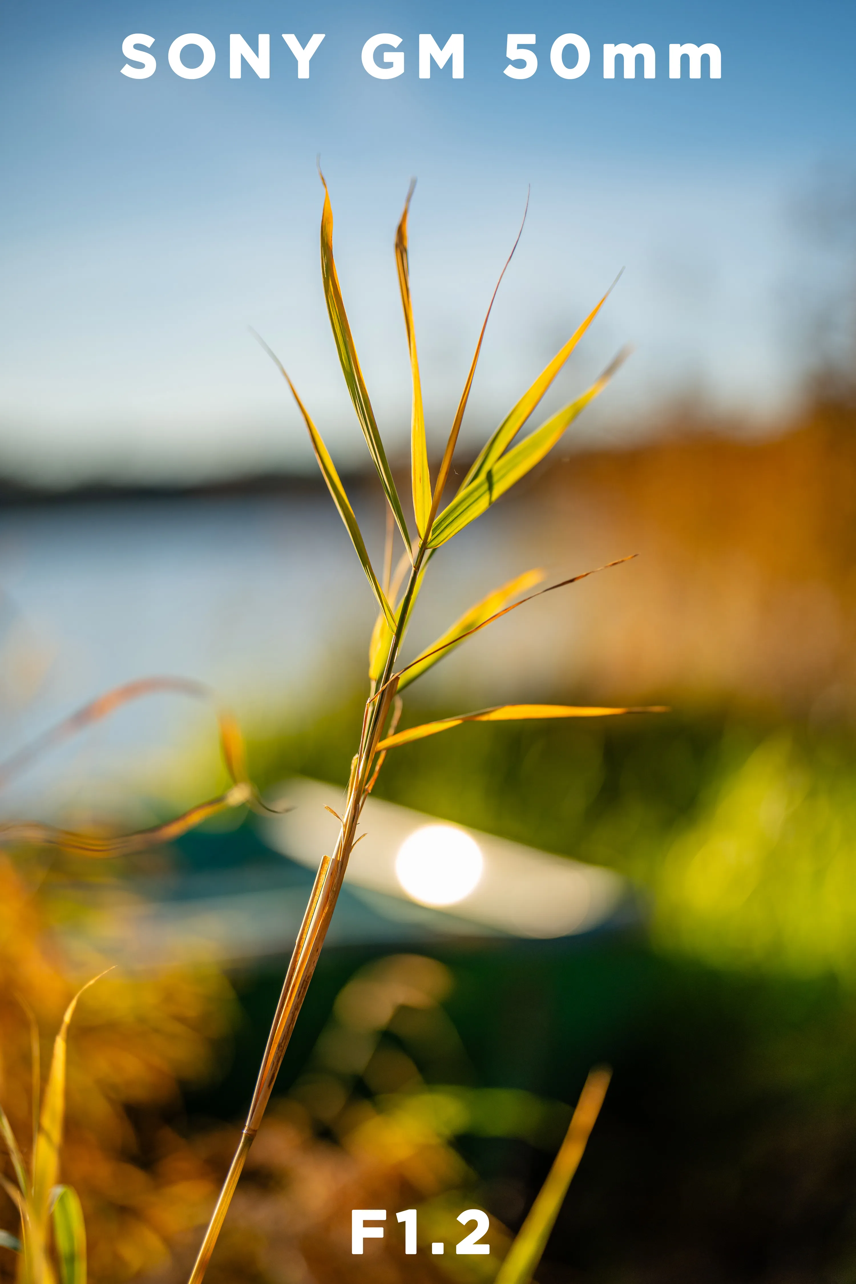 Sony-50mm-Gm-Sample-Image-1