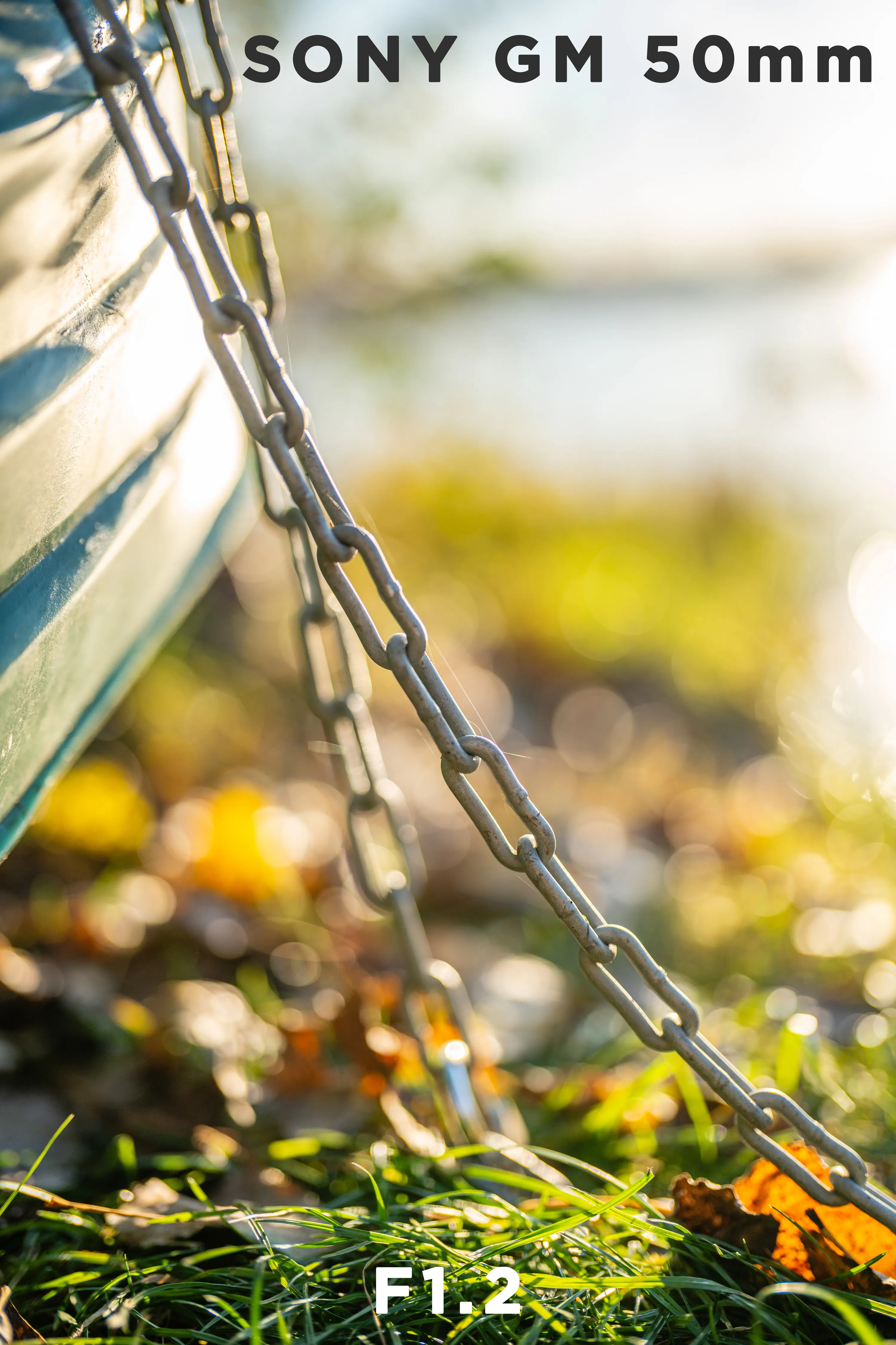 Sony-50mm-Gm-Bokeh