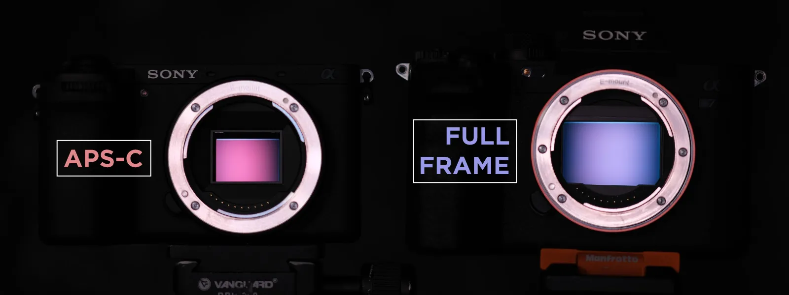 sony-a6700-vs-a7iv-sensors