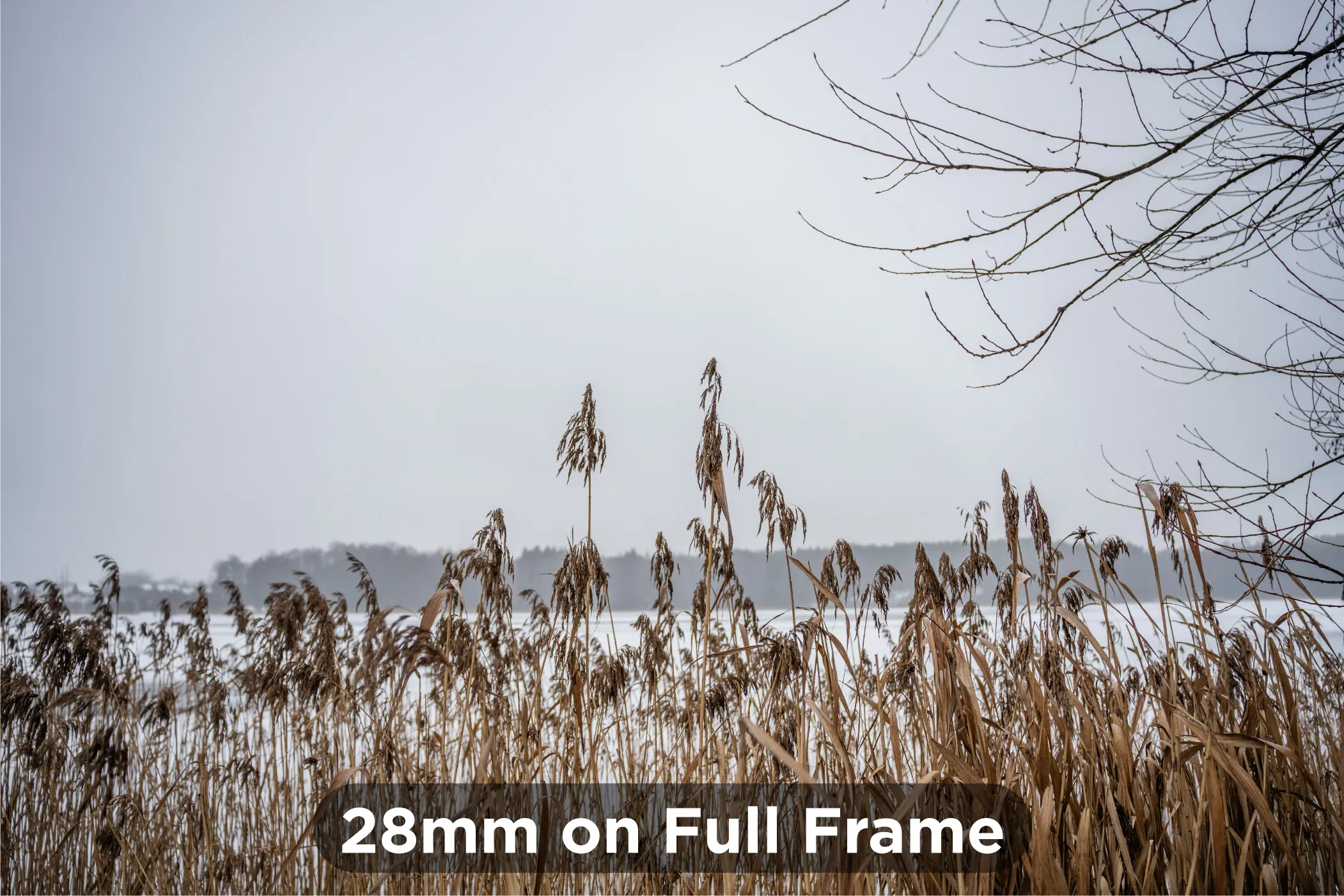 25mm-on-Full-Frame