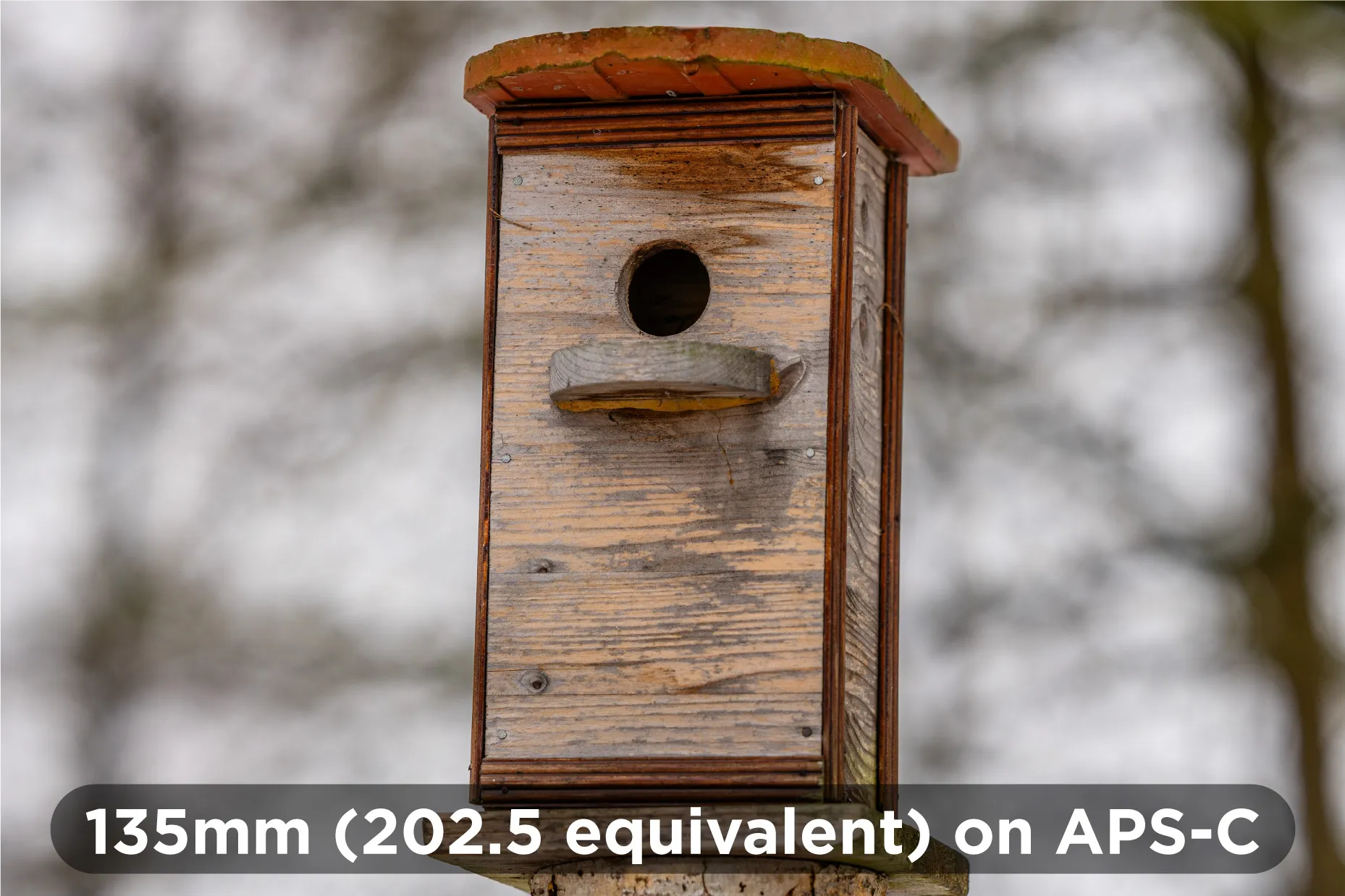 135mm-on-APSC