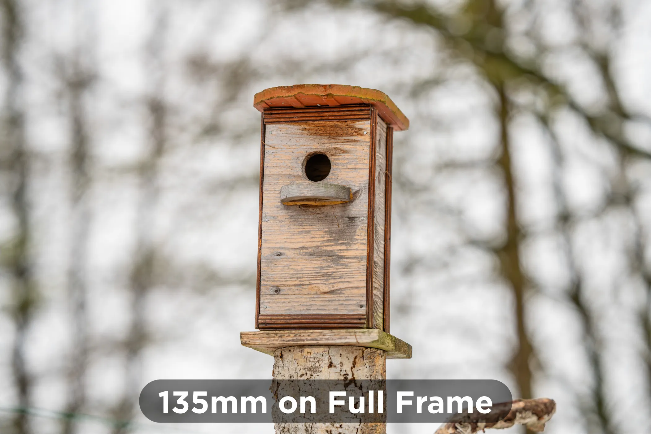 135mm-on-Full-Frame