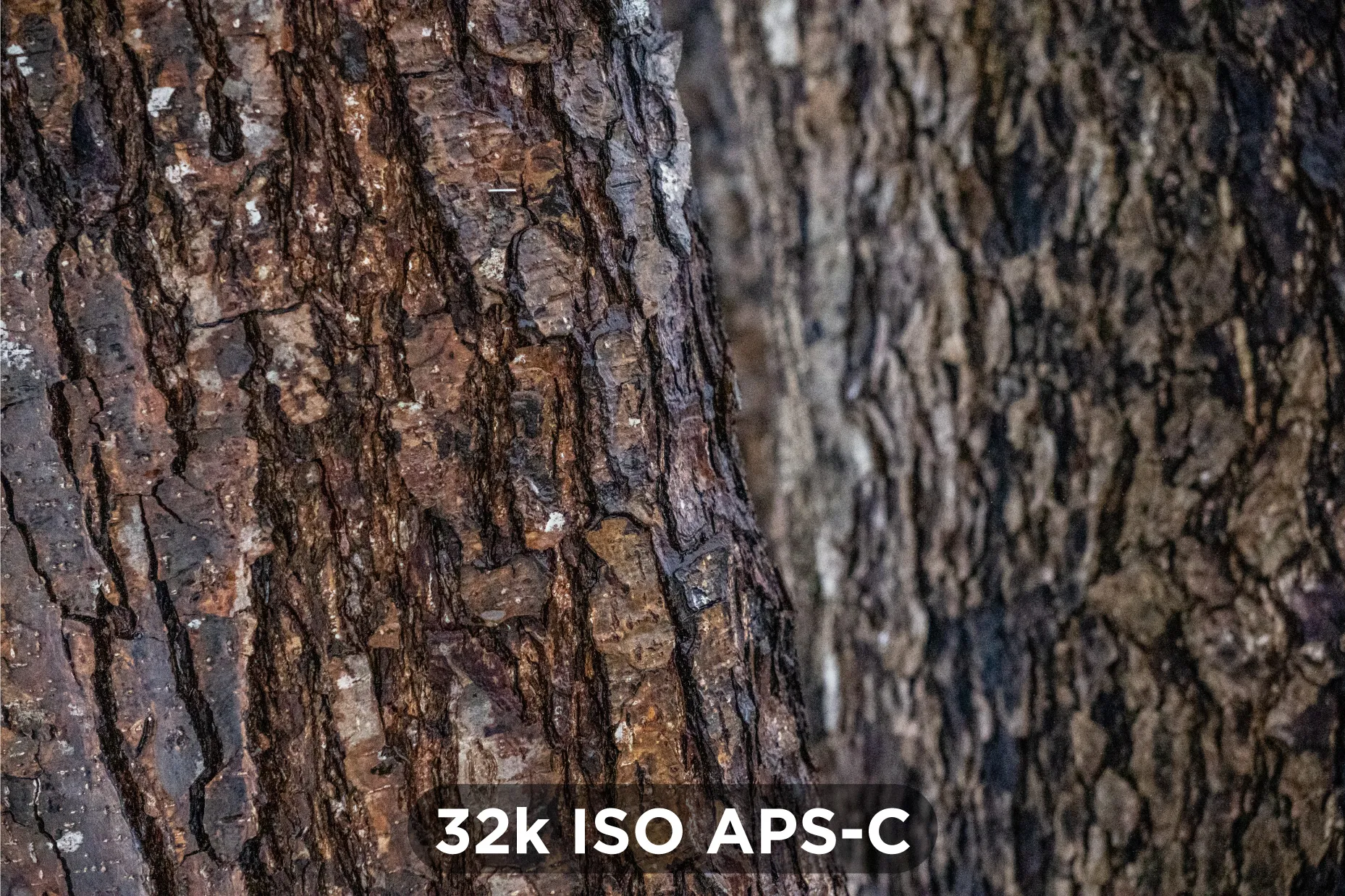 32k-ISO-APSC