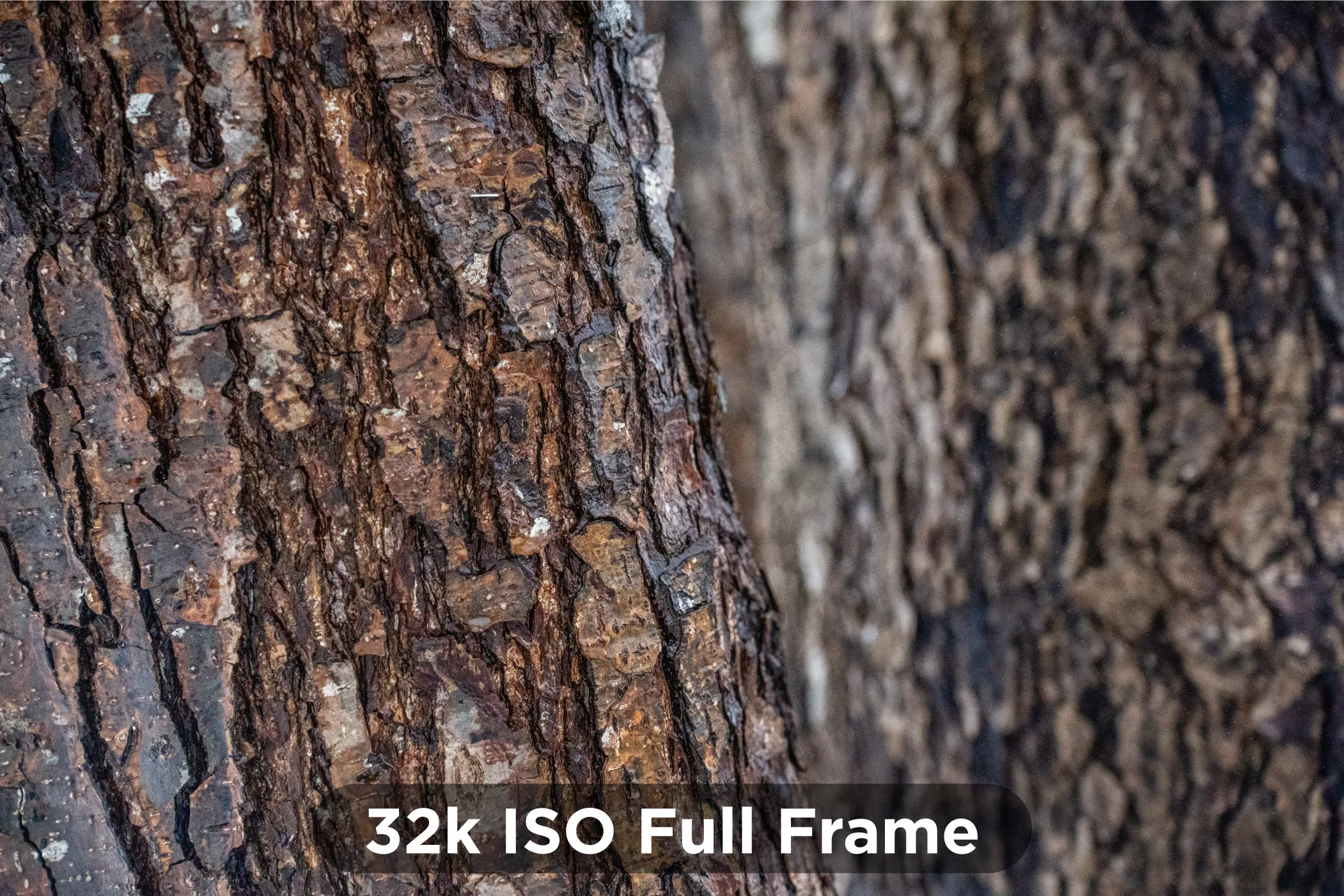 32k-ISO-Full-Frame