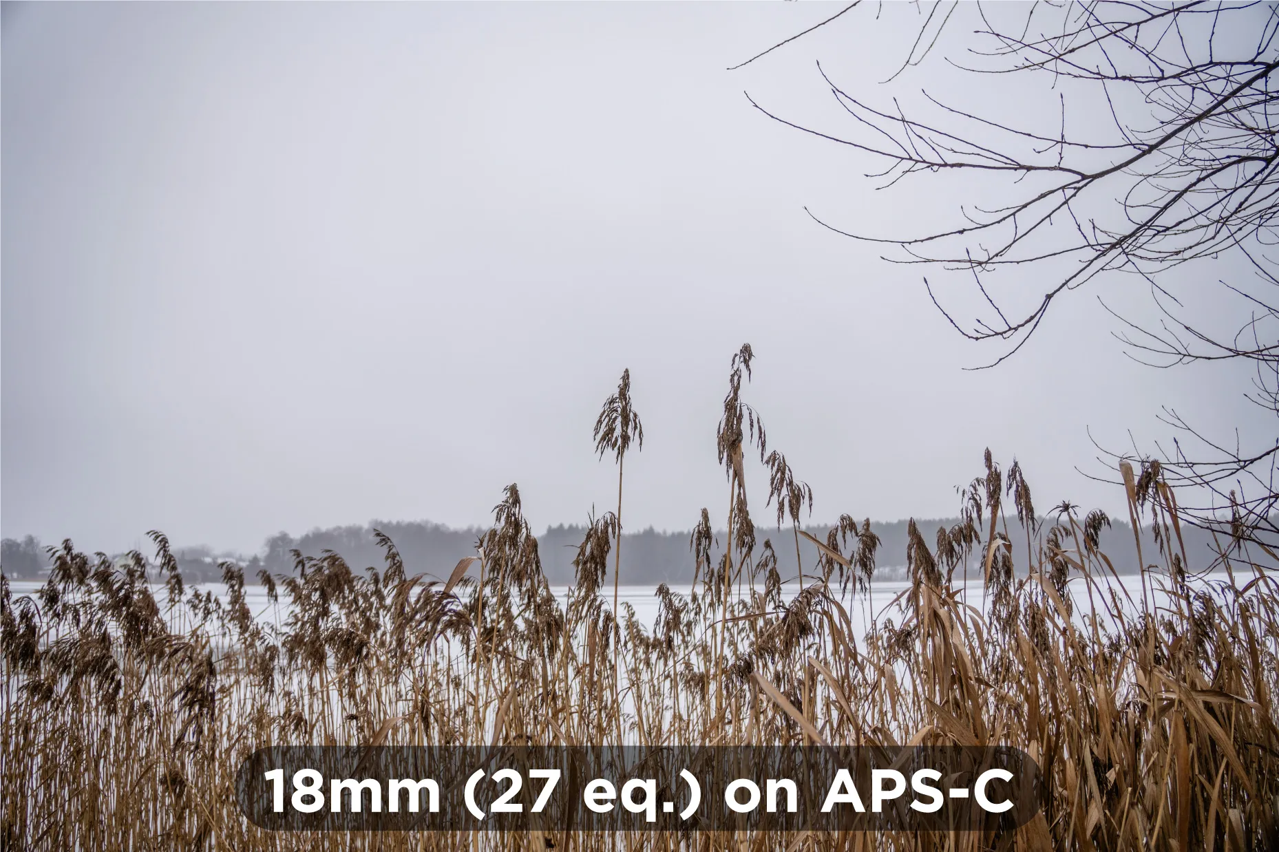 18mm-on-APSC-2