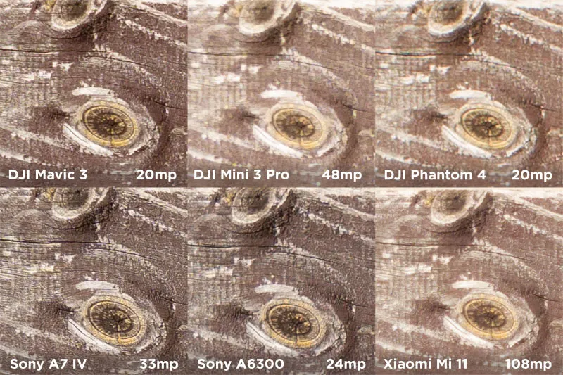 Photo-Samples-800x533