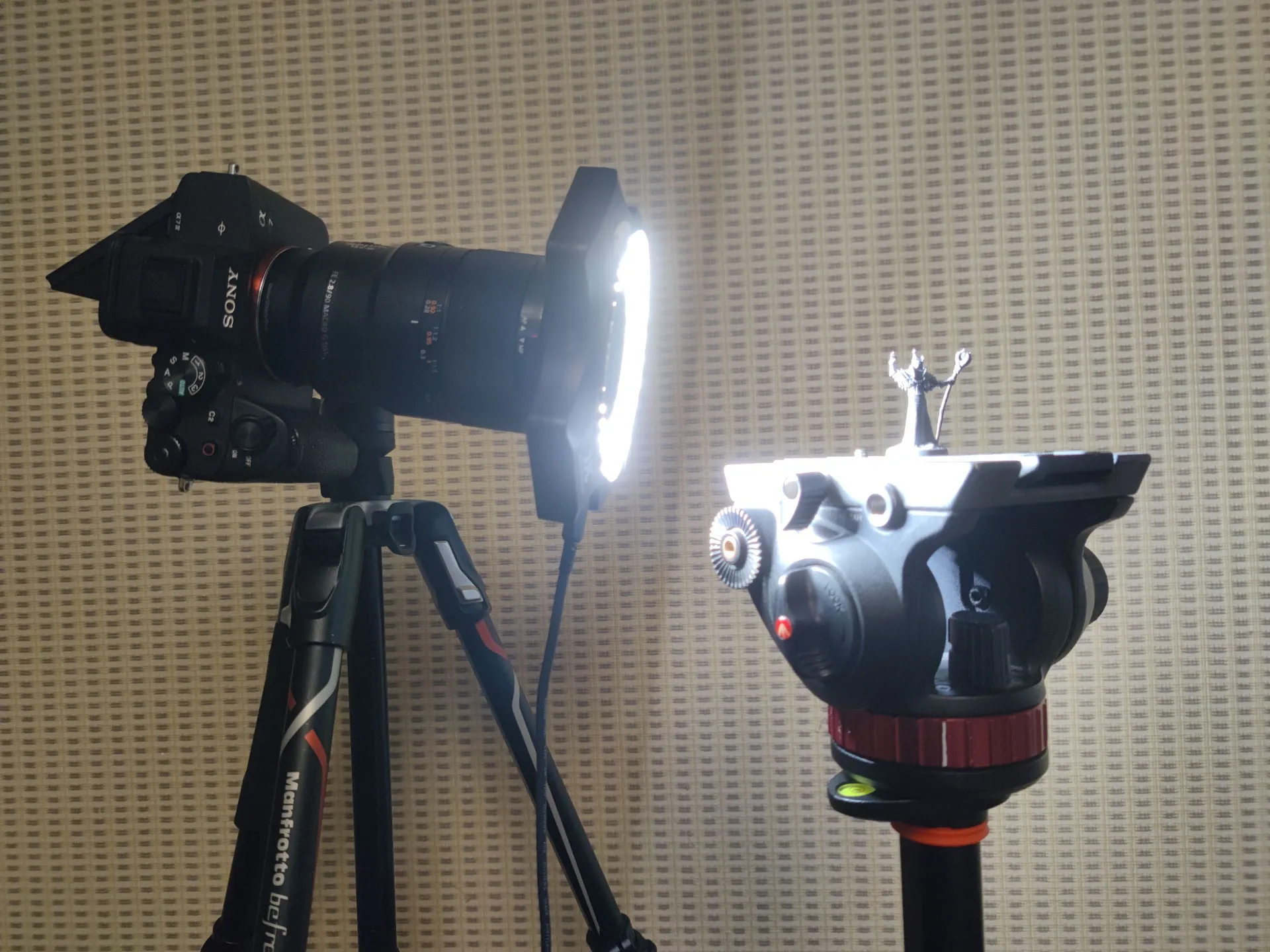 Focus-Bracketing-Sony-a7iv-Simple-Setup