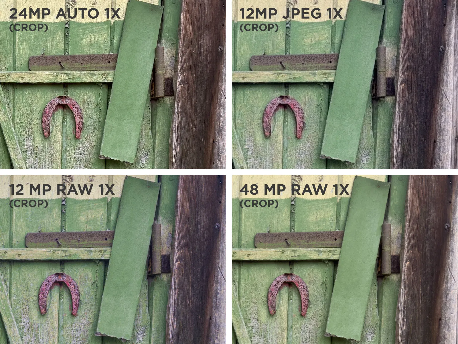 iphone-manual-1x-auto-vs-jpeg-vs-raw