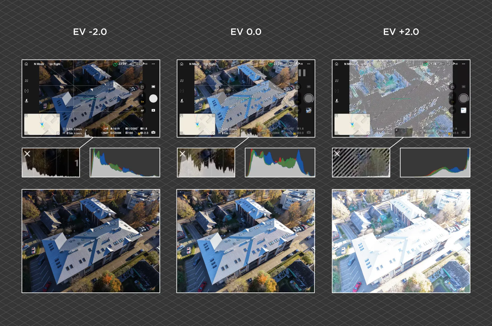Dynamic-Range-Zebras-Histogram