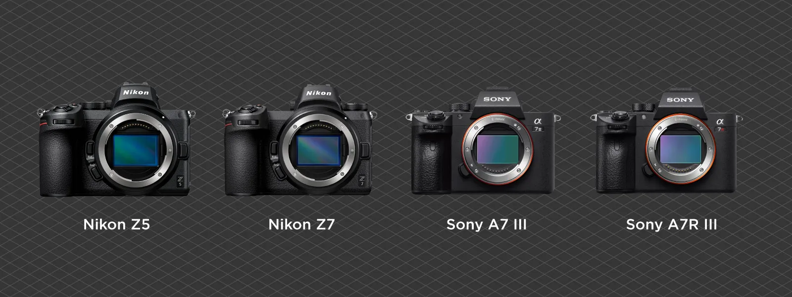 Photogrammetry-Premium-Budget-Full-Frame-Cameras