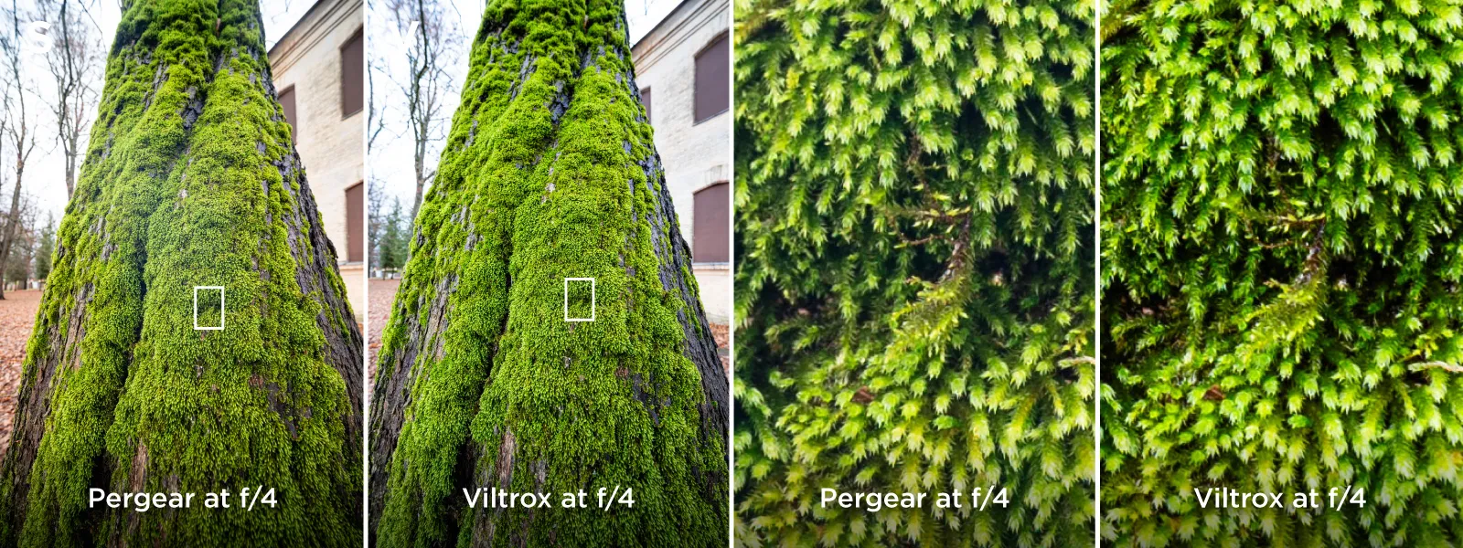 14mm-pergear-vs-viltrox-real-life-example