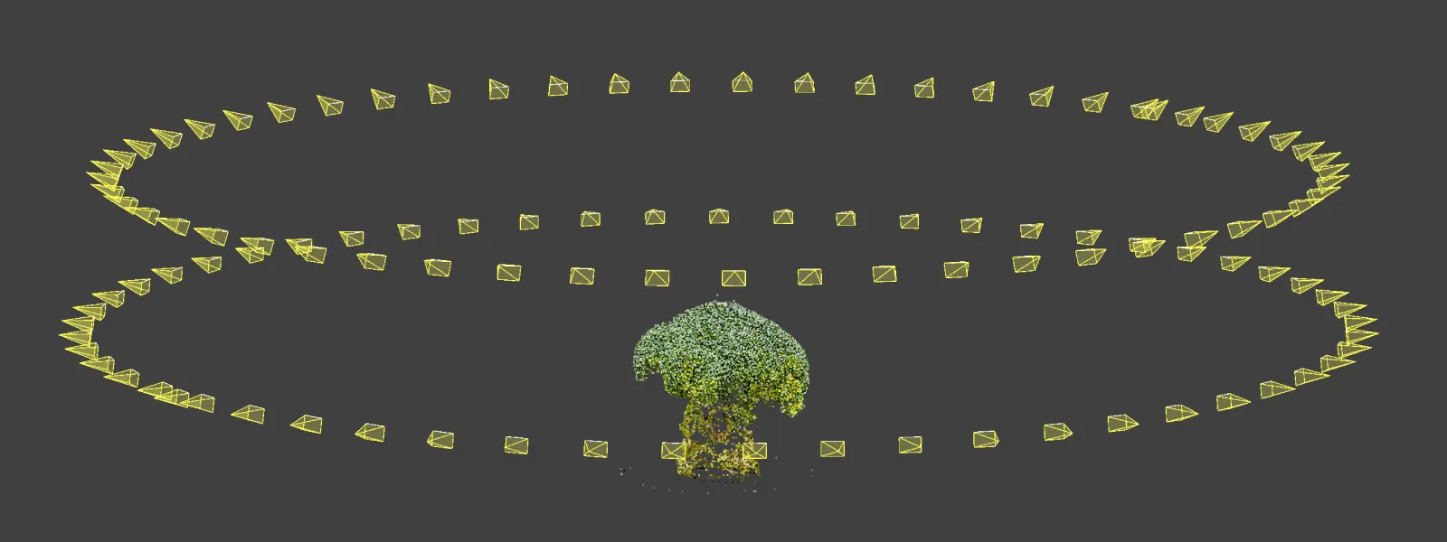 Food-Photogrammetry-Broccoli-Camera-Positions