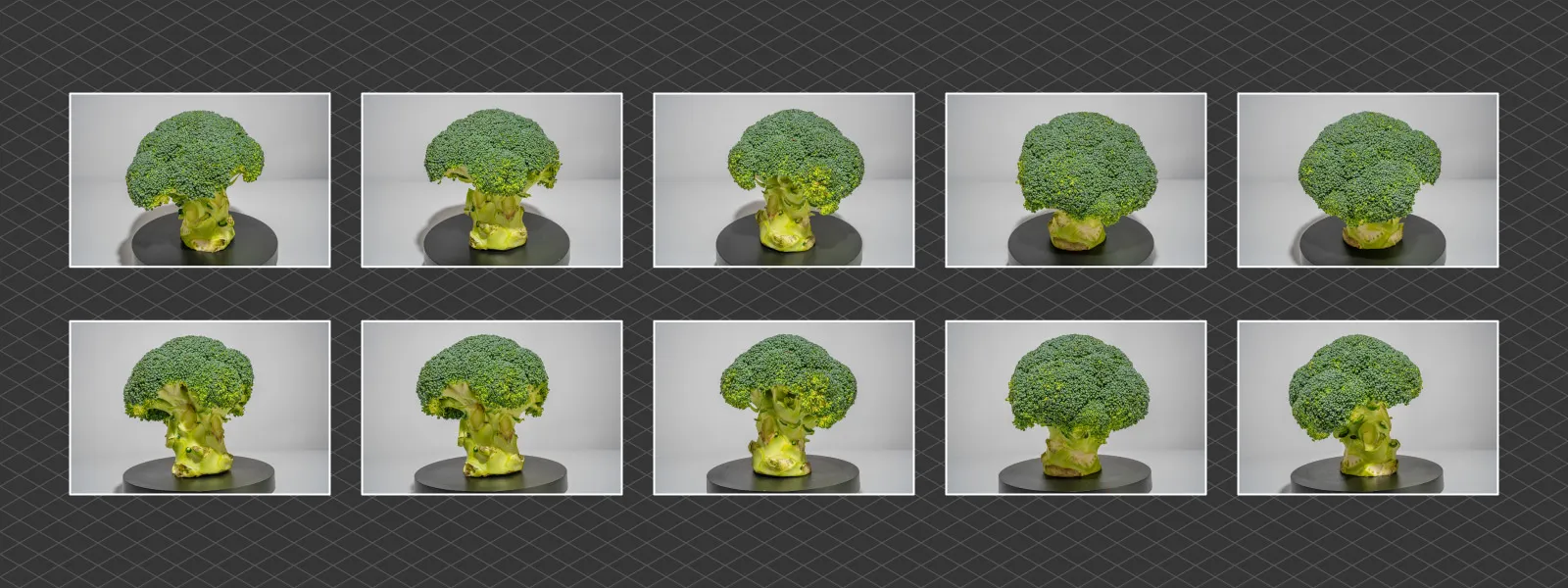 Food-Photogrammetry-Broccoli-Photo-Examples