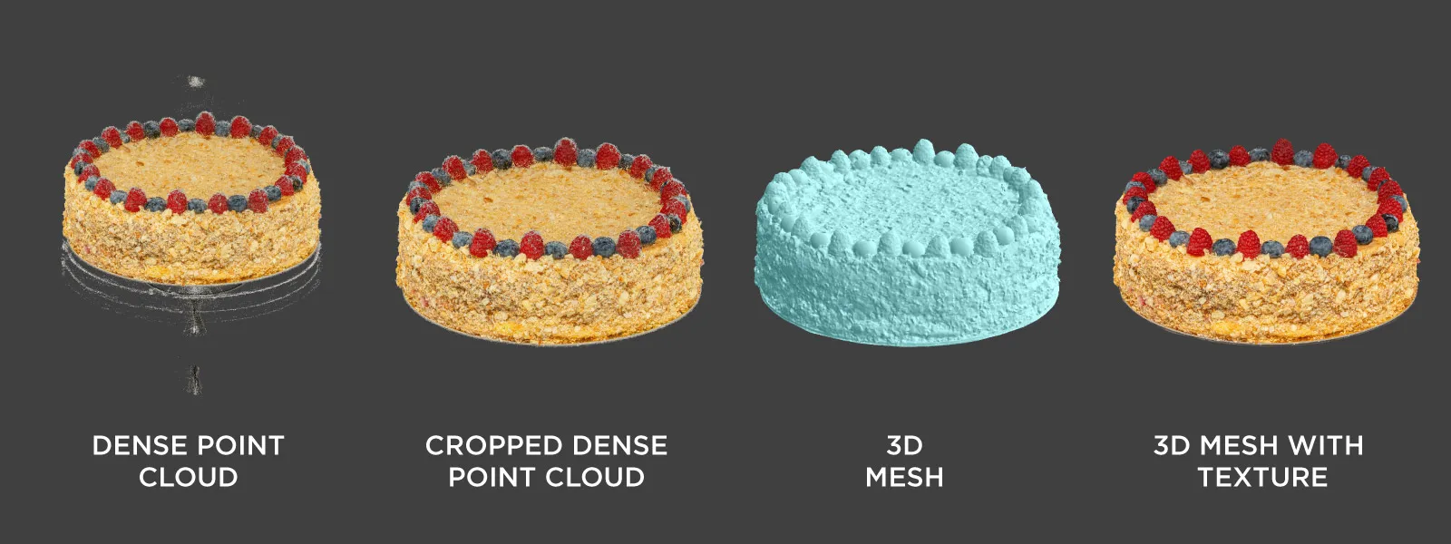 Food-Photogrammetry-Cake-Dense-Point-Cloud-3D-Mesh-with-Texture