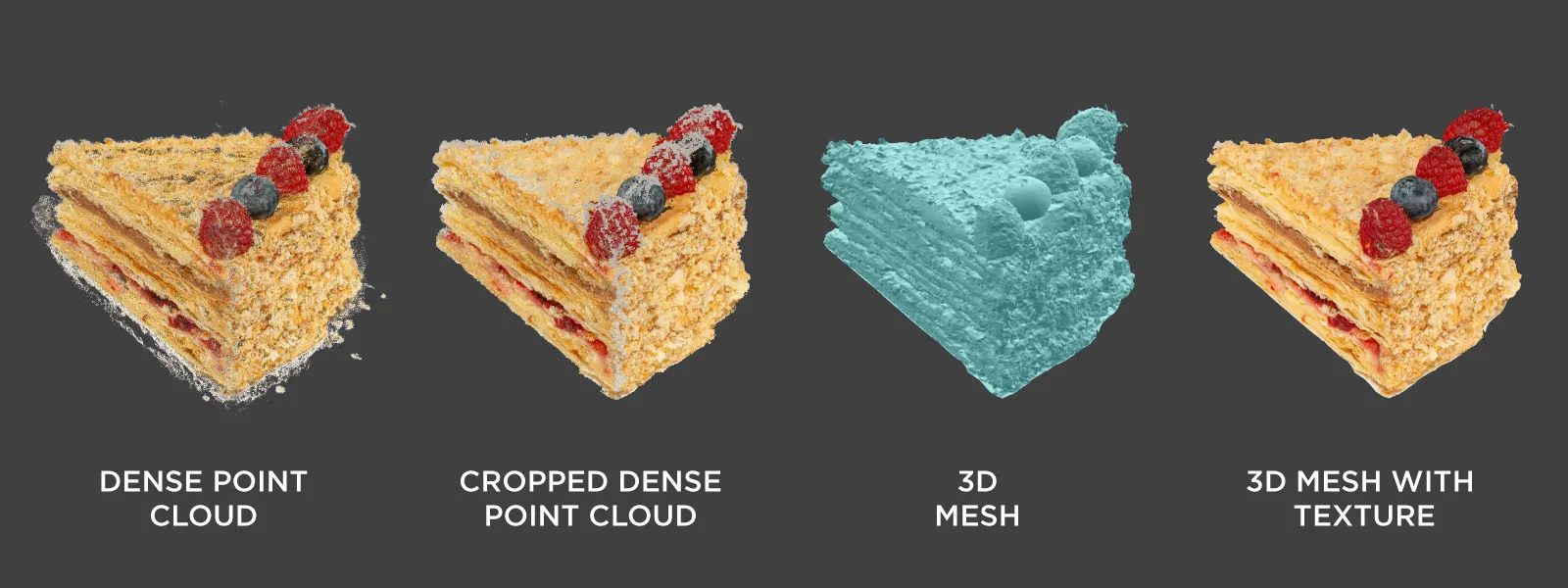 Food-Photogrammetry-Piece-of-Cake-Dense-Point-Cloud-3D-Mesh-with-Texture