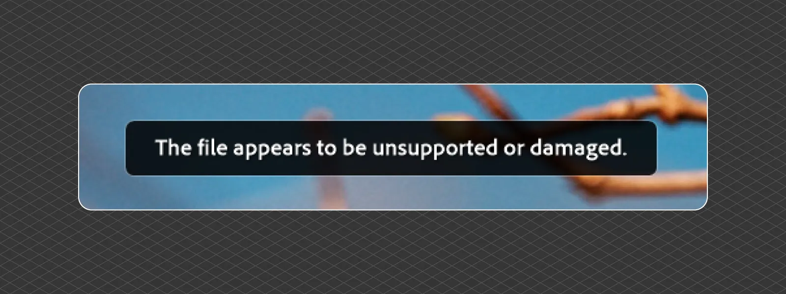 Sony-A7-V-New-Raw-Files-Adobe-Support-2026-02-05