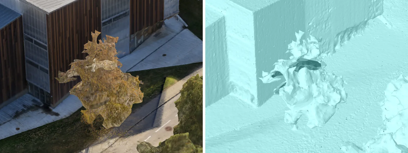 Photogrammetry-Moving-Subject-Trees