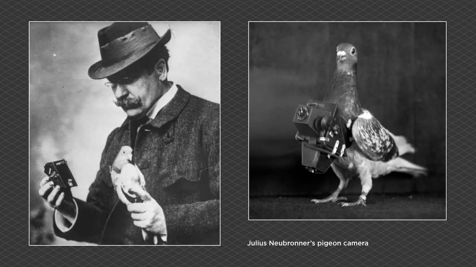 Photogrammetry-History-Julius-Neubronner-Pigeon-Camera