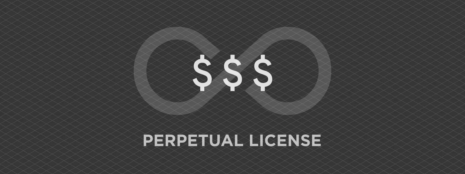 Perpetual-License