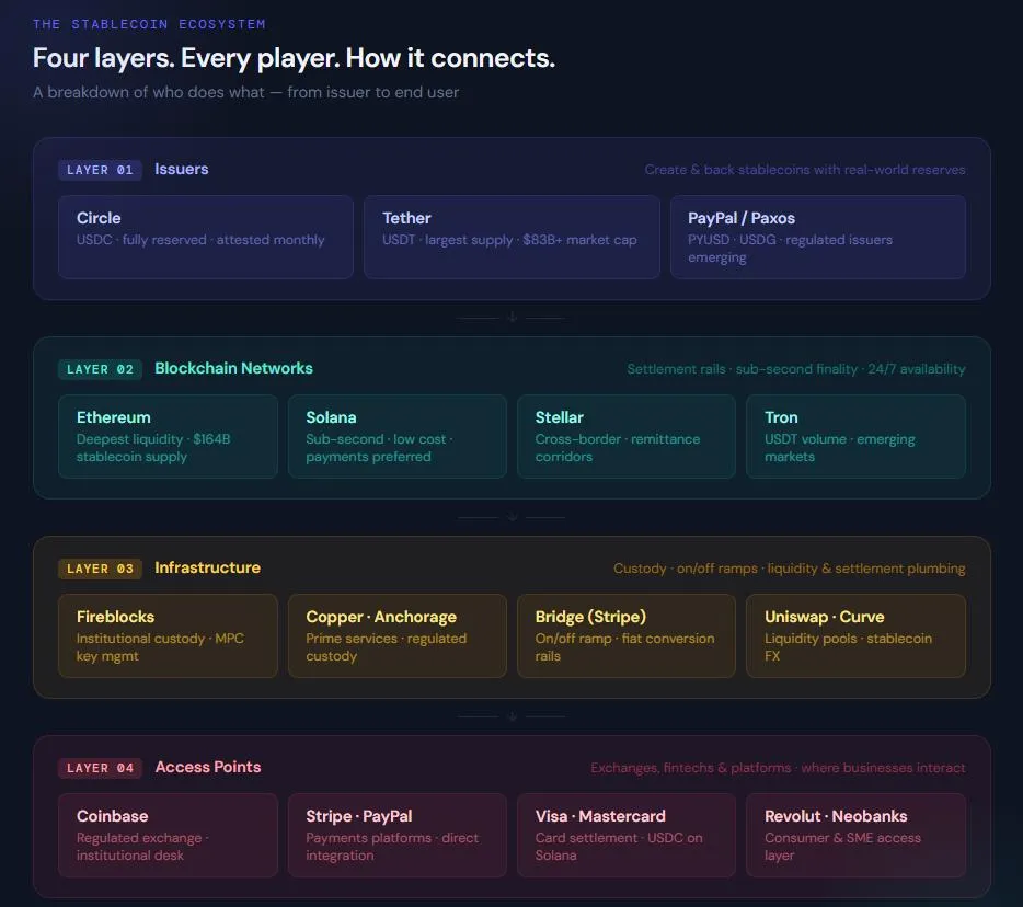 Infographic showing the four layers of the stablecoin ecosystem: issuers, blockchain networks, infrastructure, and access points