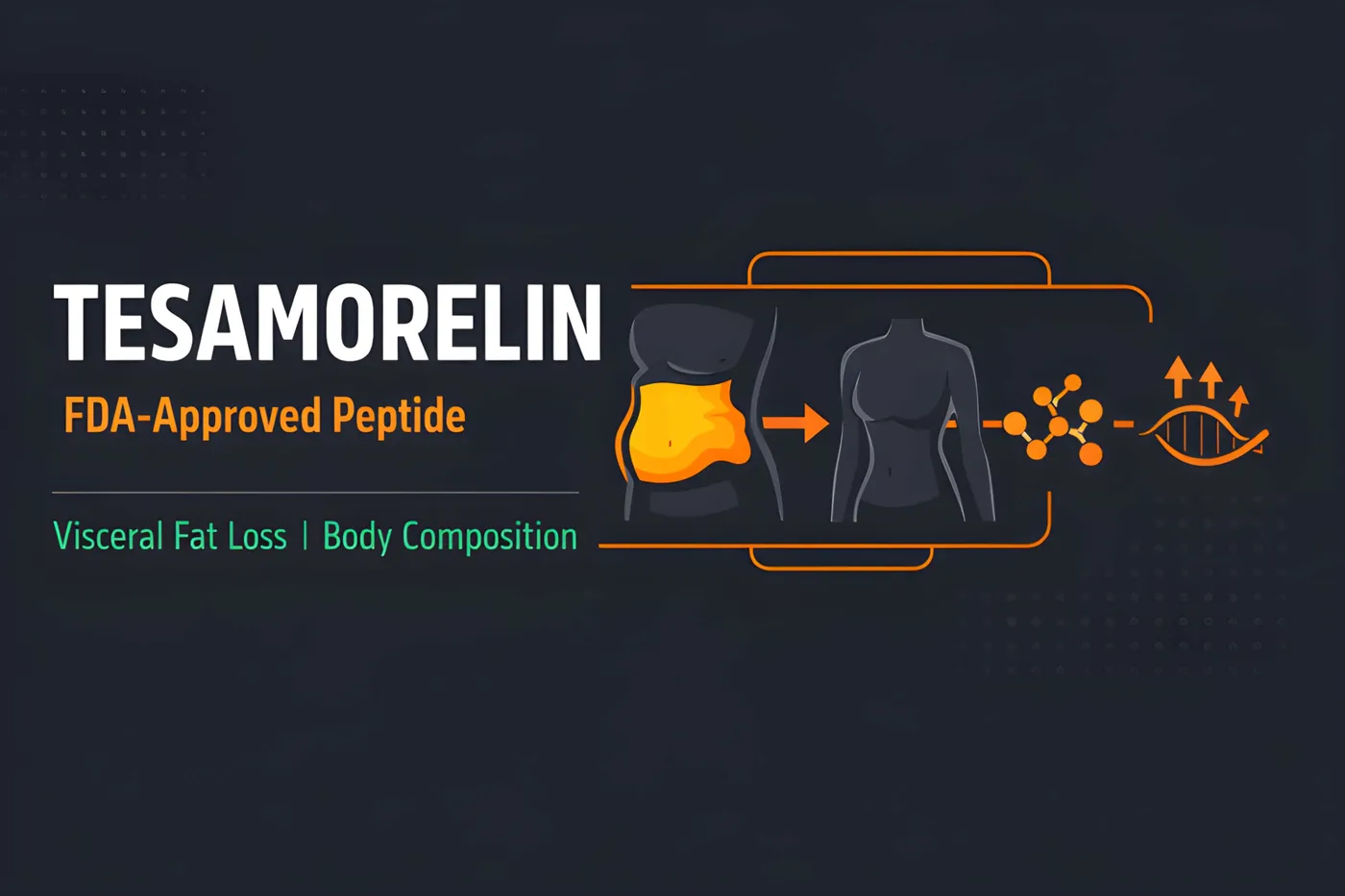 Tesamorelin: The FDA-Approved Peptide for Visceral Fat Loss and Body Composition