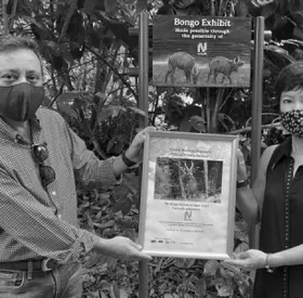 It’s True – We’ve Adopted Bongos!