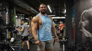 Shoulders