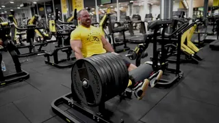 Legs