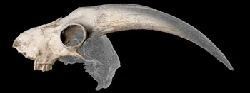 3D Asset Creation With Photogrammetry