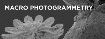 Macro Photogrammetry - Combining Multiple Techniques