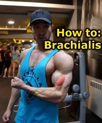 Brachialis superset