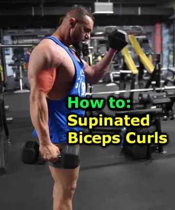 Supinated biceps curls: 2 variations