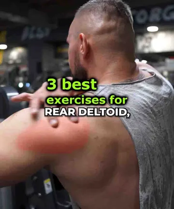 3 best rear deltoids exercises