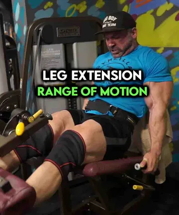 Leg extension: range of motion
