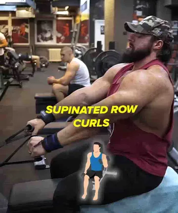 Seated Row Biceps curls