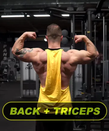 Back / Triceps workout