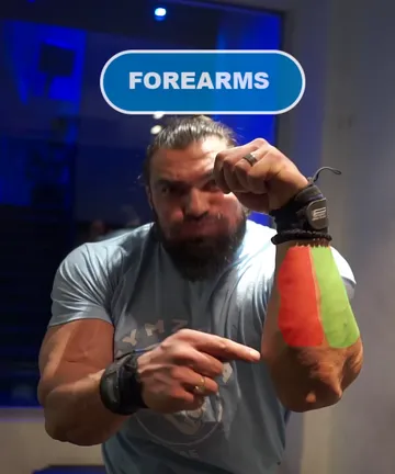 Kompletan trening za podlaktice