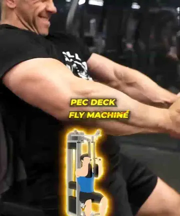 Special Lower Chest Pec Deck