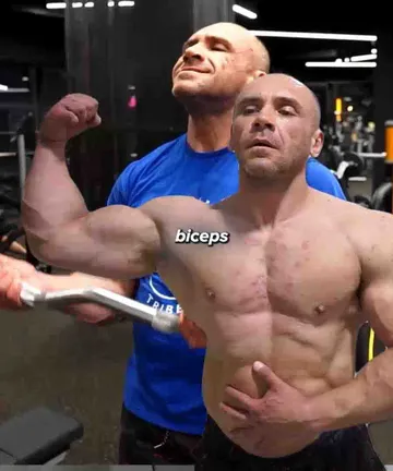 Biceps raw finisher superset