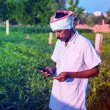 India – An Untapped Market for Travel and Digital Goods Businesses article image