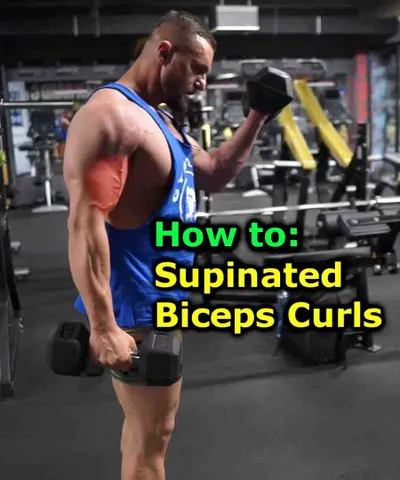 Supinated biceps curls: 2 variations
