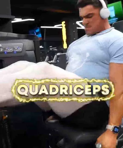 BB Leg Press Routine