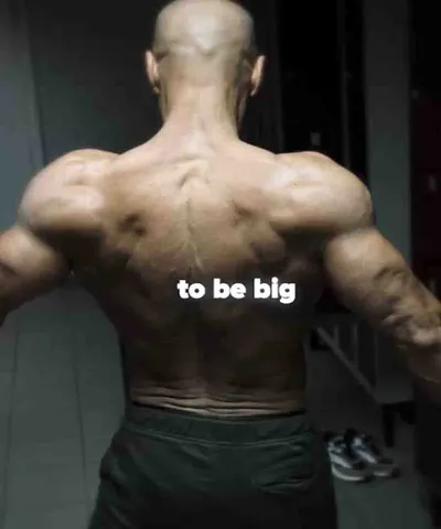 Seated Row: go big routine