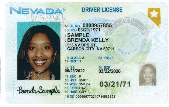 drivers_license_US.jpeg