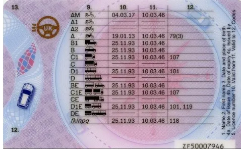 Drivers License UK2.jpeg