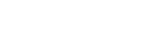 Borderless AI logo