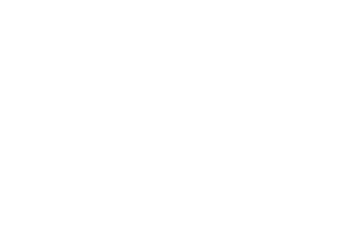 BRI logo