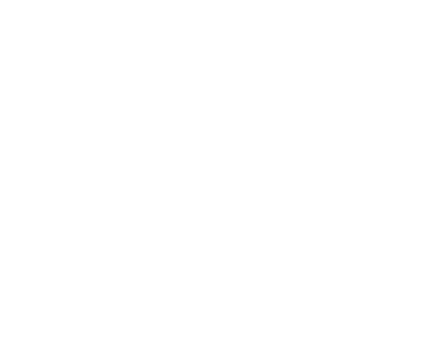 BS2 logo