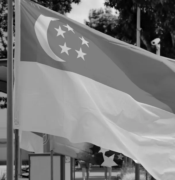 Helping E-commerce Companies in Singapore Simplify Cross-Border Transactions